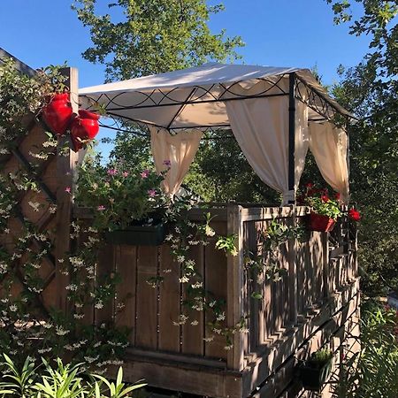 Camping De Parpaillon Roquebrune-sur Argens Kültér fotó