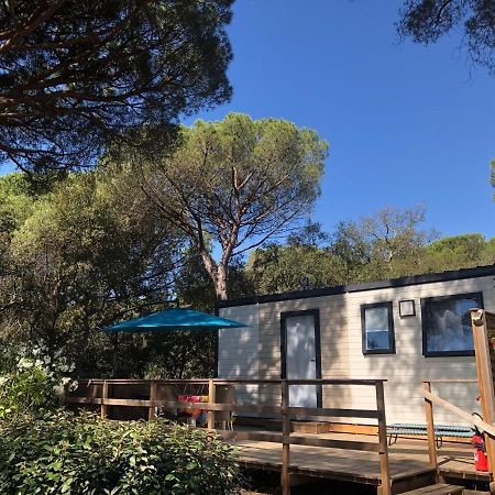 Camping De Parpaillon Roquebrune-sur Argens Kültér fotó