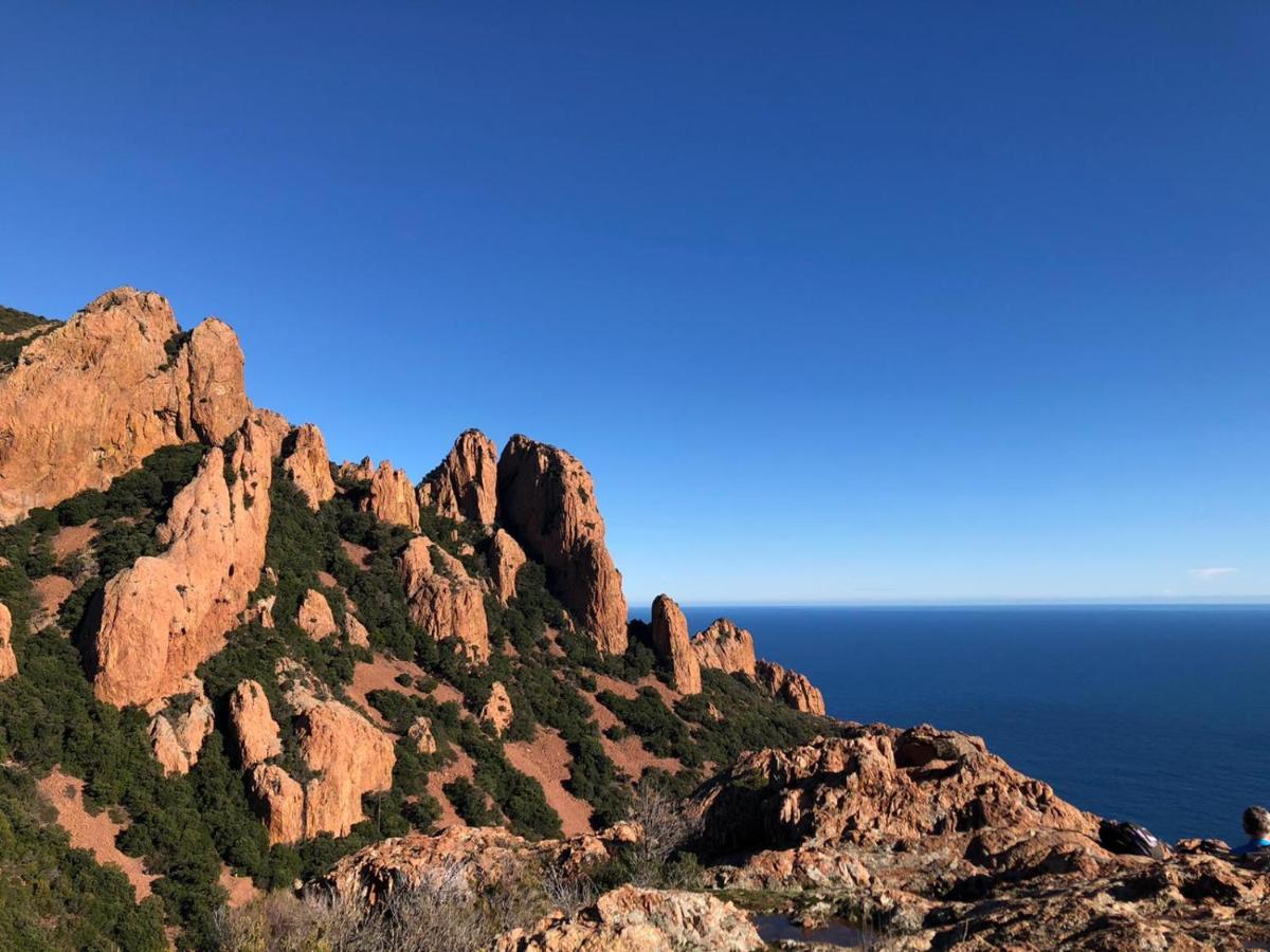 Camping De Parpaillon Roquebrune-sur Argens Kültér fotó