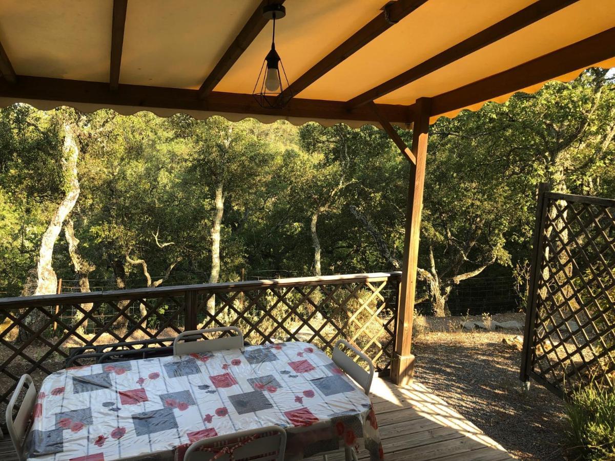 Camping De Parpaillon Roquebrune-sur Argens Kültér fotó