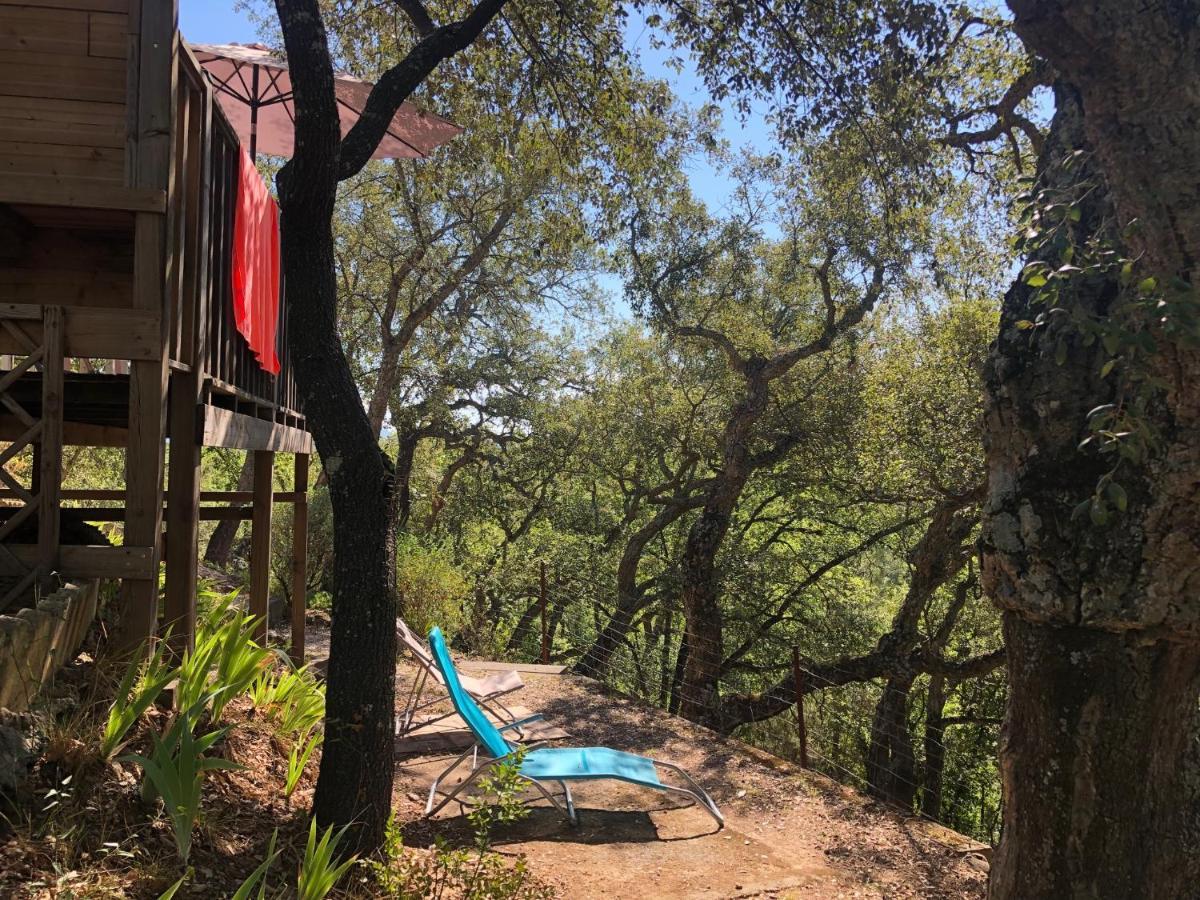 Camping De Parpaillon Roquebrune-sur Argens Kültér fotó